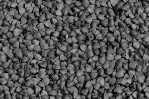 buckwheat