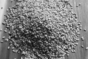 image00004-scaled-1
