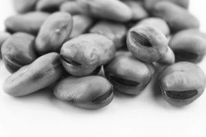 Broad,Beans,,Fava,Beans,Isolated,On,White,Background.